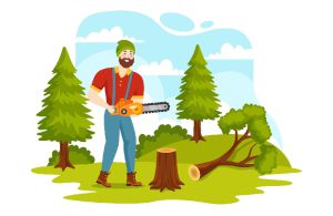 جلوگیری از قطع درختان